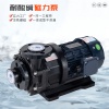 耐腐蚀化工泵选型时需要考虑哪些因素?