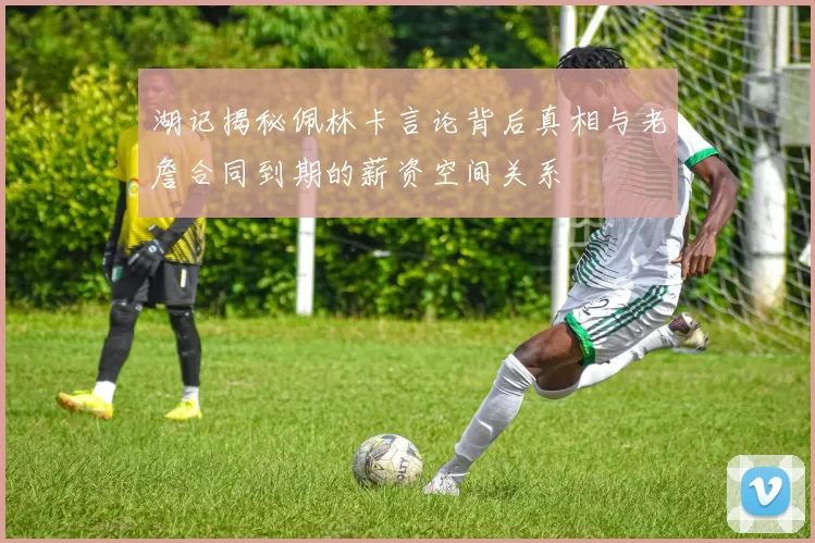 湖记揭秘佩林卡言论背后真相与老詹合同到期的薪资空间关系